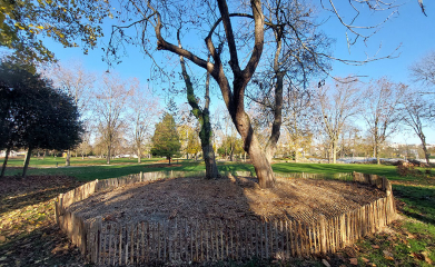 /docs/nos-prestations/prestations-complementaires/mulching